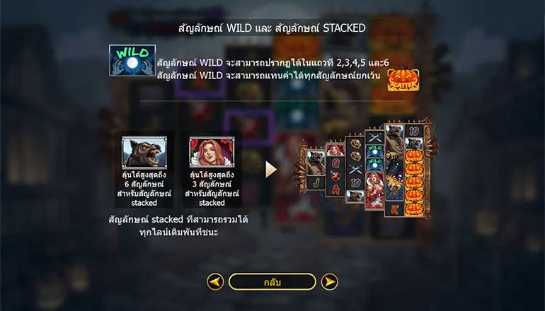 ตัวอย่าง สัญลักษณ์ WILD และ STACKED