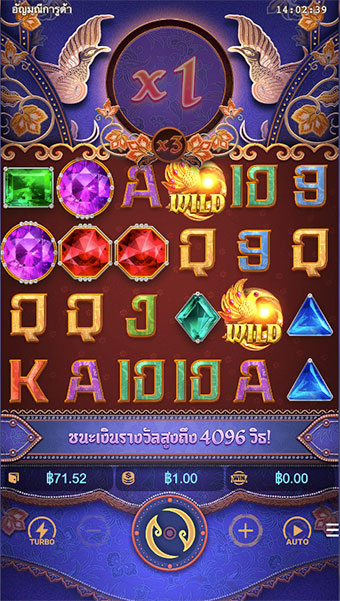 ปุ่มฟังก์ชั่นสำหรับการใช้งานต่างๆ