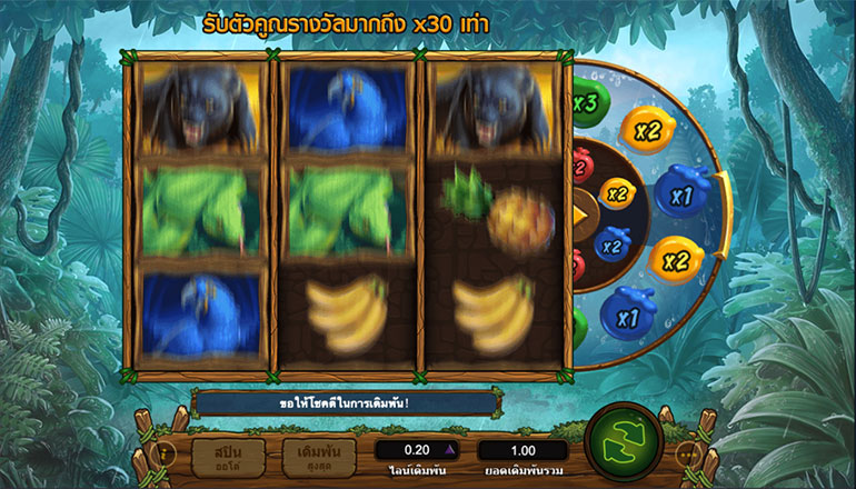ตัวอย่างการเล่นพนันในเกมสล็อต Rainforest Riches