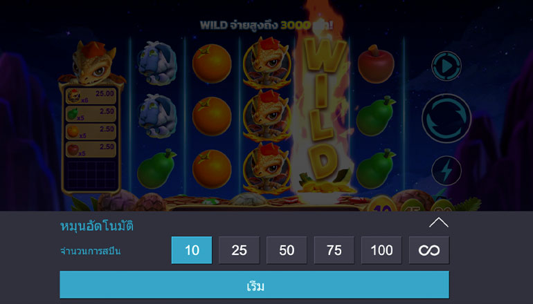 ตัวอย่างของการกำหนดรอบในการเล่นแบบอัตโนมัติ