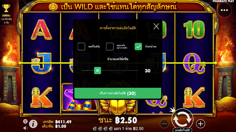 ตัวอย่างของการกำหนดรอบในการเล่นแบบอัตโนมัติ