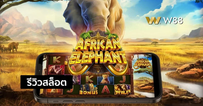 รีวิวสล็อต African Elephant สล็อตแนวผจญภัย จากค่าย PP