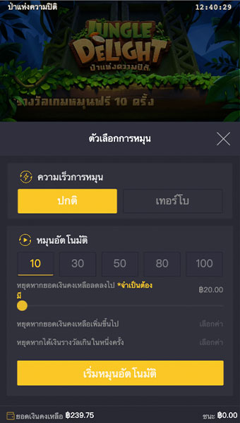 ตัวอย่างในการกำหนดรอบสำหรับเล่นสล็อตในรูปแบบอัตโนมัติ