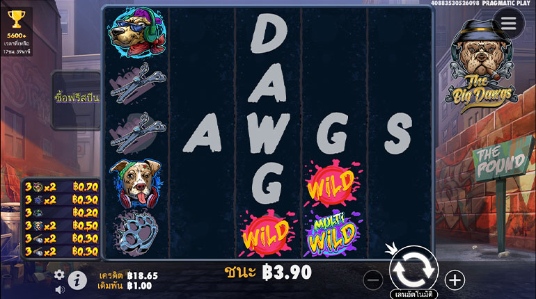 ตัวอย่างการชนะสล็อตในรูปแบบธรรมดา