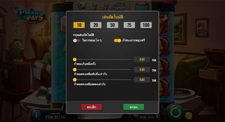 ตัวอย่างรายละเอียดการกำหนดรอบสำหรับเล่นสล็อตในรูปแบบอัตโนมัติ