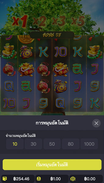 ตัวอย่างการกำหนดรอบสำหรับเล่นสล็อตในรูปแบบอัตโนมัติ