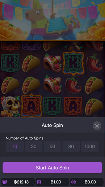 ตัวอย่างการกำหนดรอบสำหรับเล่นสล็อตในรูปแบบอัตโนมัติ