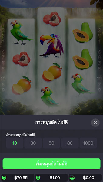 ตัวอย่างการกำหนดรอบสำหรับเล่นสล็อต Wings of Iguazu ในรูปแบบอัตโนมัติ