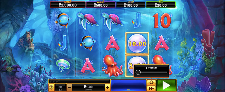 รายละเอียดการกำหนดรอบสำหรับเล่นสล็อตในรูปแบบอัตโนมัติ